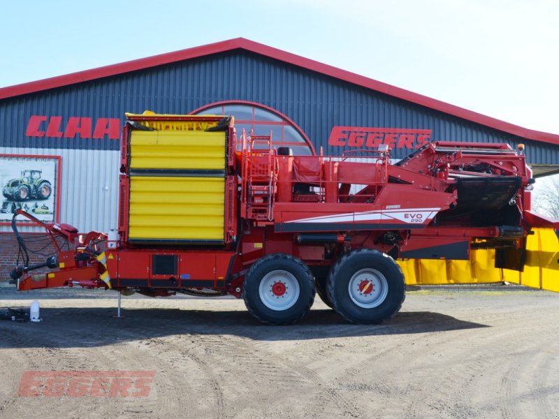 Kartoffelroder typu Grimme EVO 290 EasySep, Gebrauchtmaschine w Suhlendorf (Zdjęcie 1)