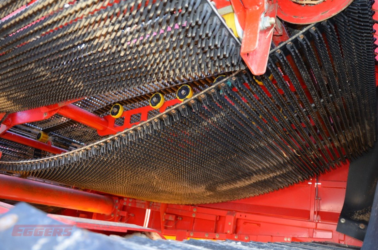 Kartoffelroder typu Grimme EVO 290 EasySep, Gebrauchtmaschine v Suhlendorf (Obrázek 12)