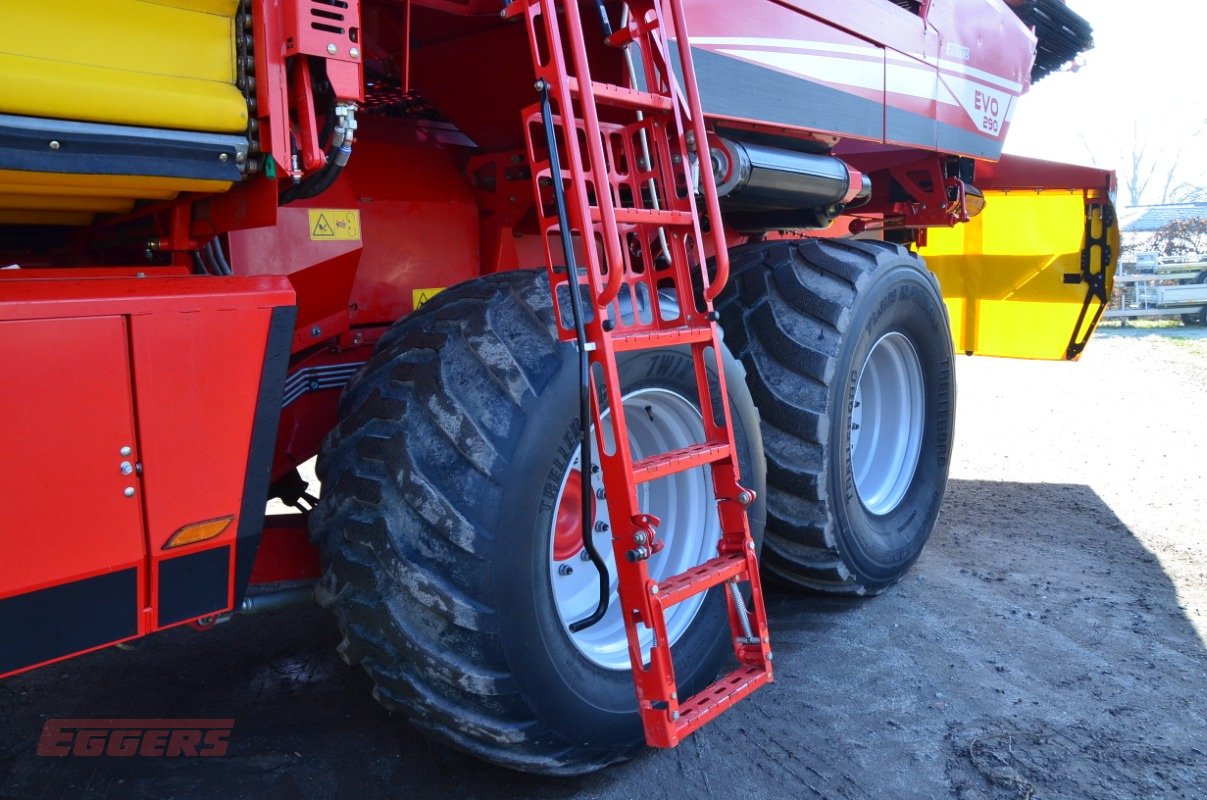 Kartoffelroder typu Grimme EVO 290 EasySep, Gebrauchtmaschine v Suhlendorf (Obrázek 14)