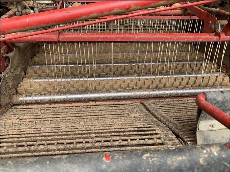 Kartoffelroder za tip Grimme GT 170, Gebrauchtmaschine u ROYE (Slika 4)