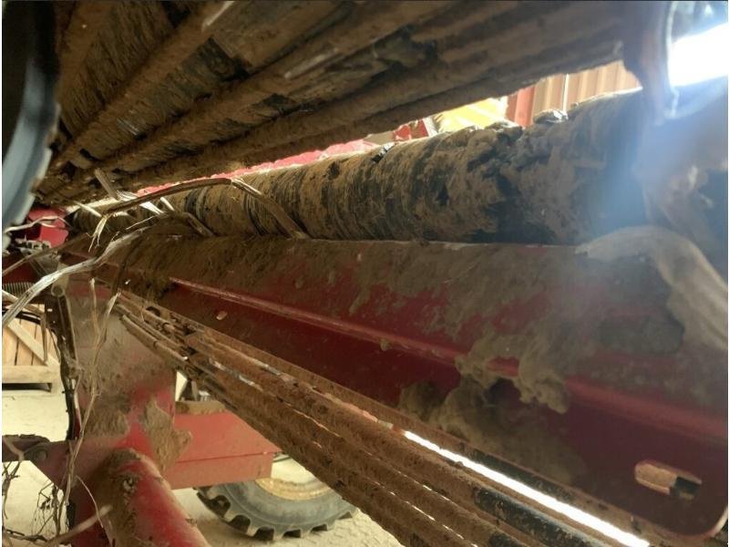 Kartoffelroder za tip Grimme GT 170, Gebrauchtmaschine u ROYE (Slika 10)