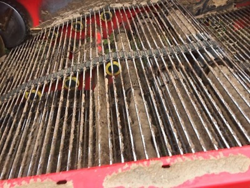 Kartoffelroder des Typs Grimme GT170MS, Gebrauchtmaschine in MARLENHEIM (Bild 5)