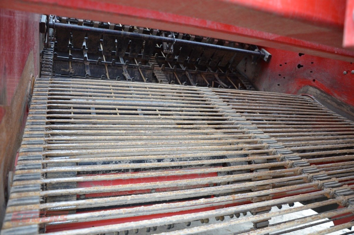 Kartoffelroder typu Grimme SE 150-60 NB, Gebrauchtmaschine v Suhlendorf (Obrázek 8)