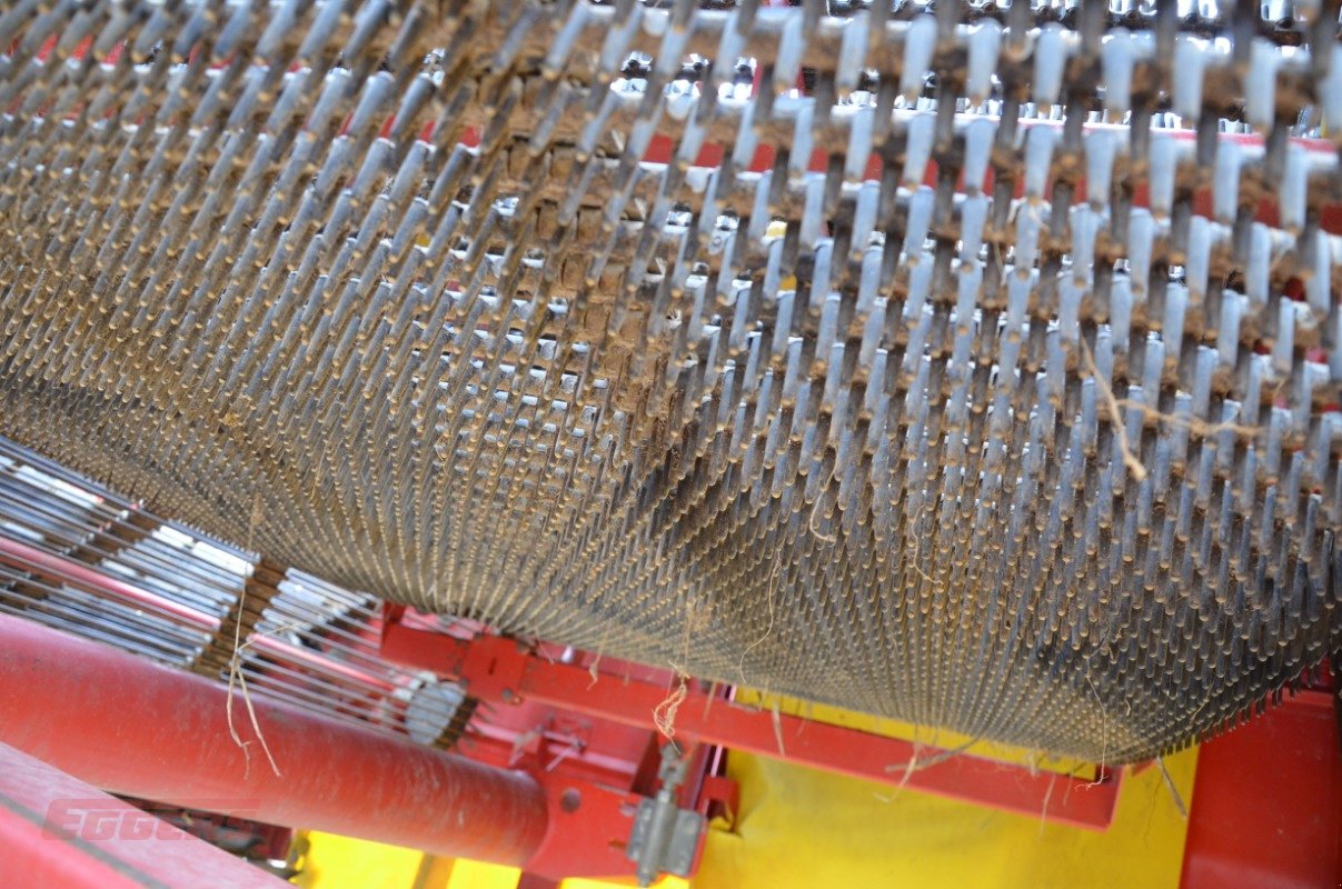 Kartoffelroder typu Grimme SE 150-60 NB, Gebrauchtmaschine v Suhlendorf (Obrázek 10)