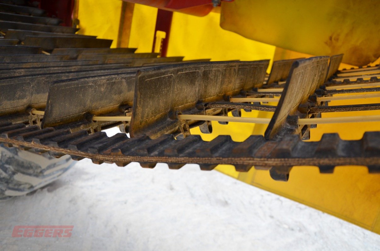 Kartoffelroder typu Grimme SE 150-60 NB, Gebrauchtmaschine v Suhlendorf (Obrázek 11)