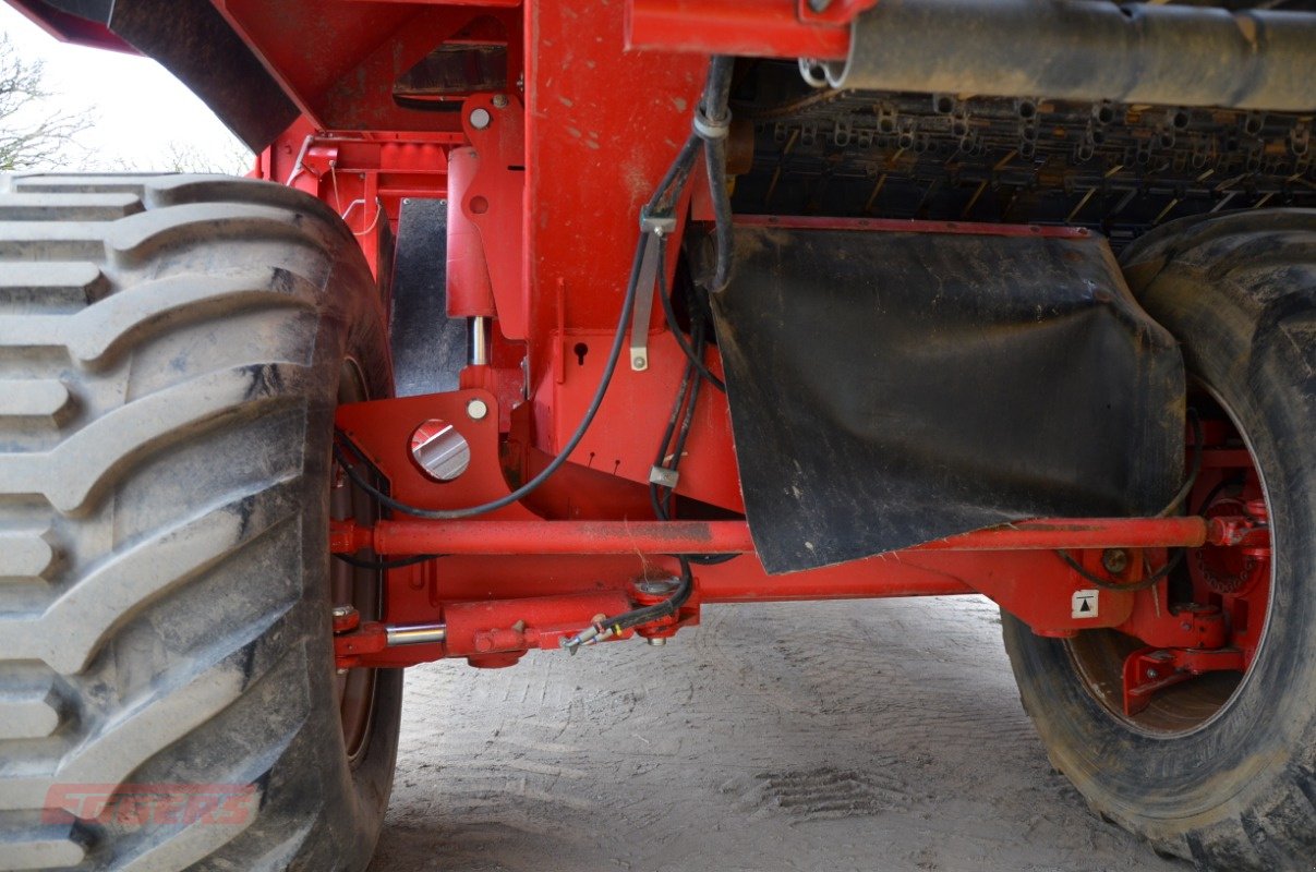 Kartoffelroder typu Grimme SE 150-60 NB, Gebrauchtmaschine v Suhlendorf (Obrázek 12)