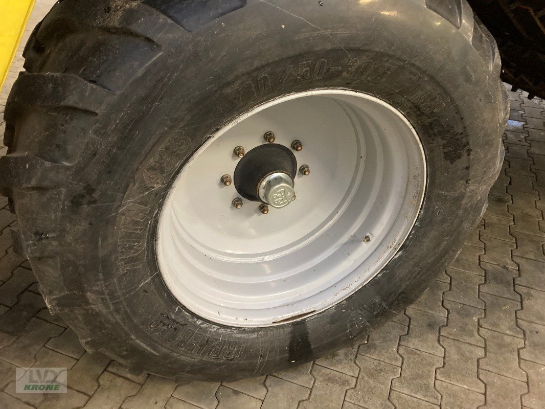 Kartoffelroder des Typs Grimme SE 150-60, Gebrauchtmaschine in Spelle (Bild 5)