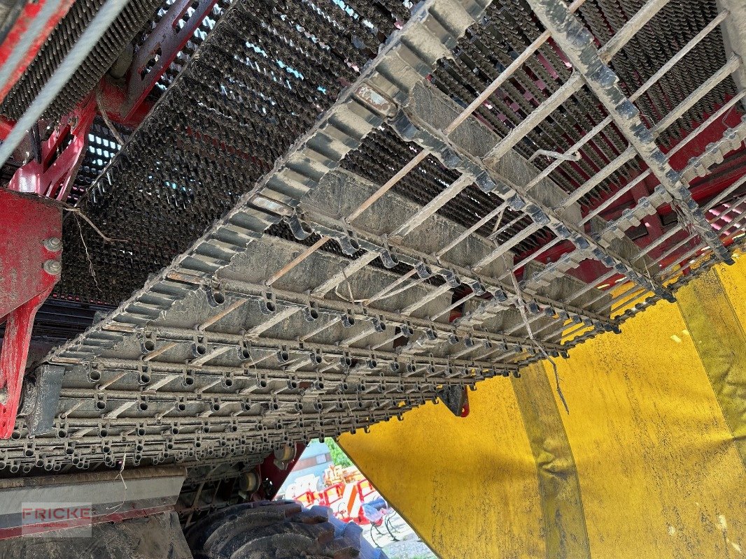 Kartoffelroder tip Grimme SE 260  UB Non Stop, Gebrauchtmaschine in Bockel - Gyhum (Poză 13)