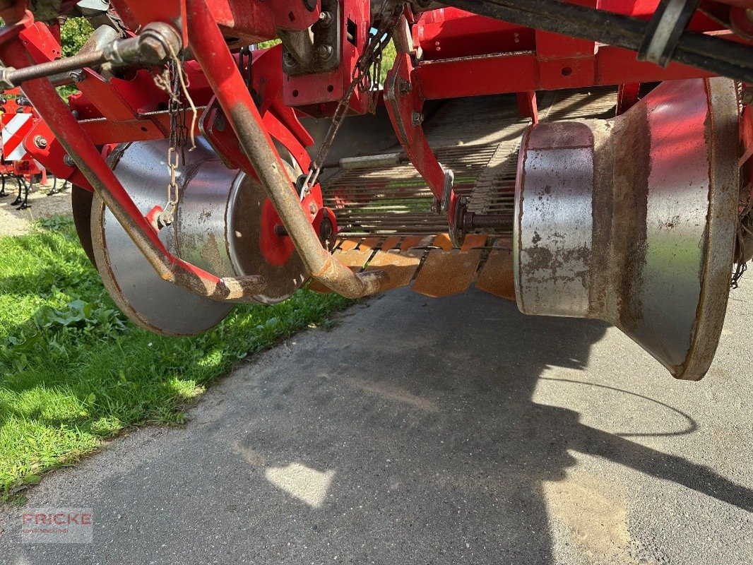 Kartoffelroder tip Grimme SE 260  UB Non Stop, Gebrauchtmaschine in Bockel - Gyhum (Poză 4)