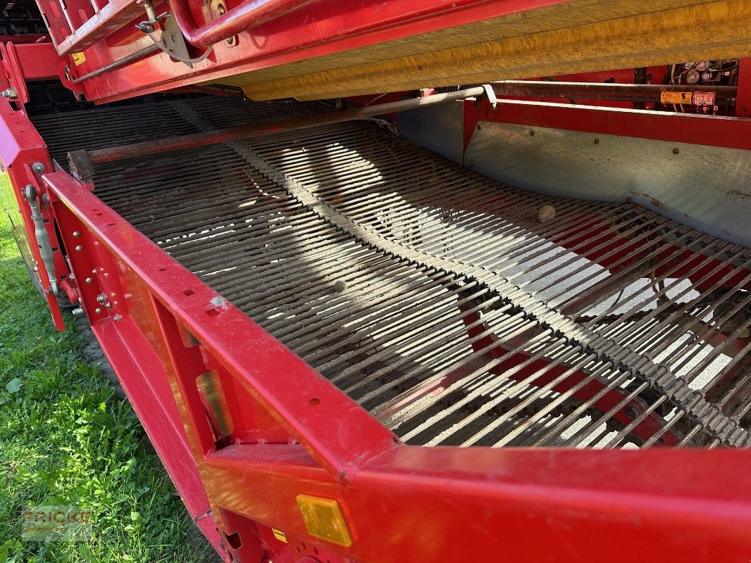Kartoffelroder tip Grimme SE 260  UB Non Stop, Gebrauchtmaschine in Bockel - Gyhum (Poză 7)