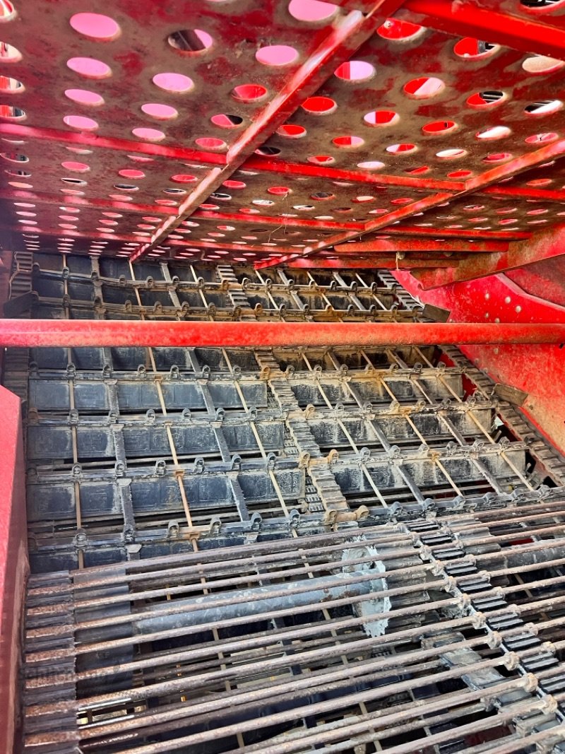 Kartoffelroder del tipo Grimme SE 260 UB, Gebrauchtmaschine en Marxen (Imagen 8)