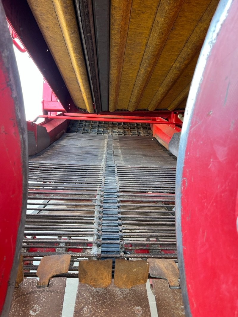 Kartoffelroder del tipo Grimme SE 260 UB, Gebrauchtmaschine en Marxen (Imagen 4)