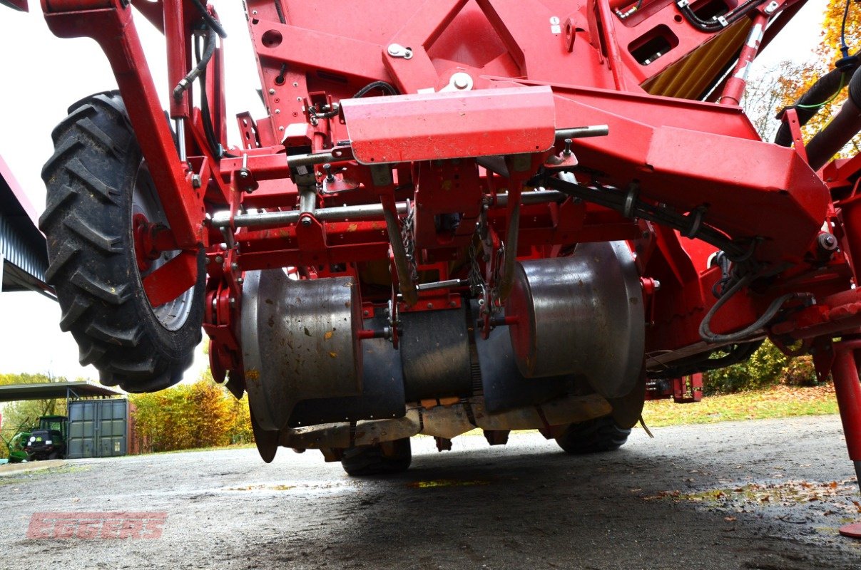 Kartoffelroder typu Grimme SE 260 UB, Gebrauchtmaschine v Suhlendorf (Obrázek 5)