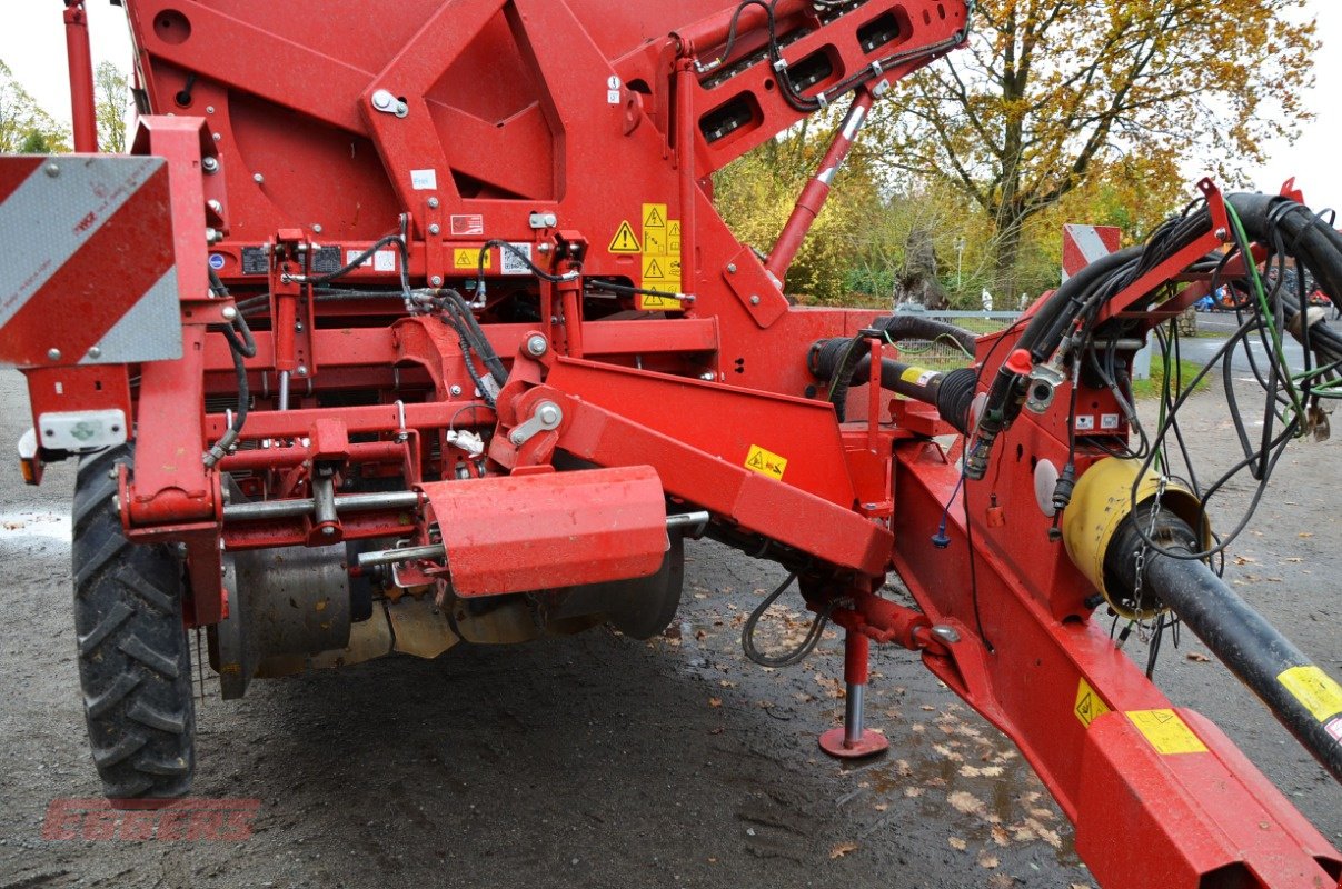 Kartoffelroder typu Grimme SE 260 UB, Gebrauchtmaschine v Suhlendorf (Obrázek 7)