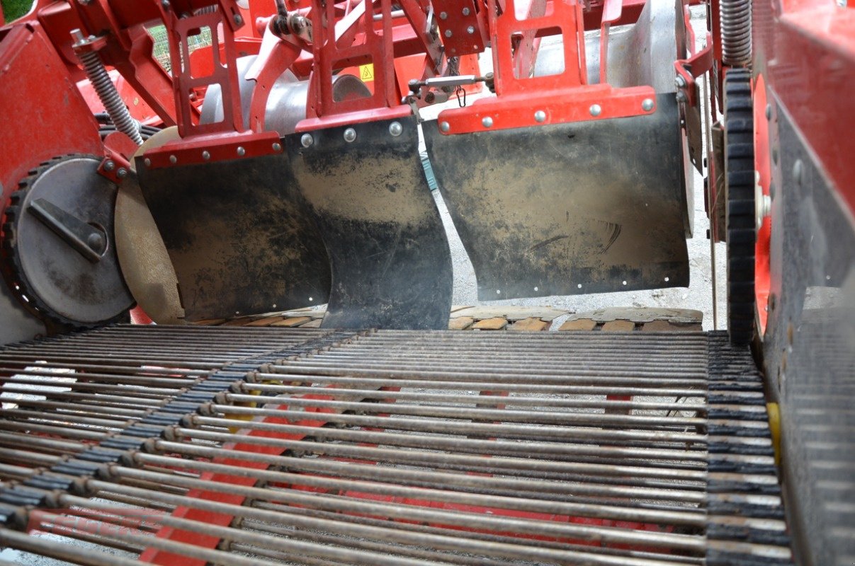 Kartoffelroder typu Grimme SE 260 UB, Gebrauchtmaschine v Suhlendorf (Obrázek 8)