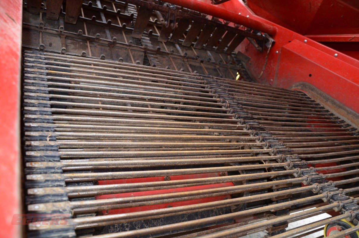 Kartoffelroder typu Grimme SE 260 UB, Gebrauchtmaschine v Suhlendorf (Obrázek 9)