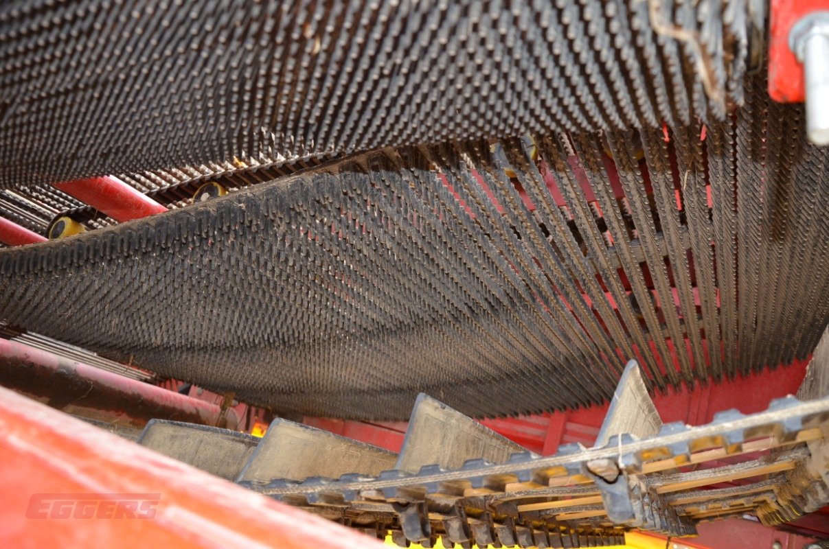 Kartoffelroder typu Grimme SE 260 UB, Gebrauchtmaschine v Suhlendorf (Obrázek 12)