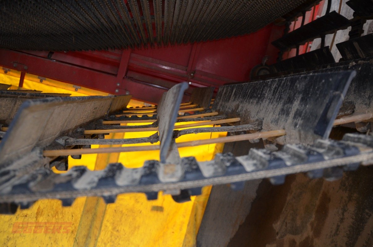 Kartoffelroder typu Grimme SE 260 UB, Gebrauchtmaschine v Suhlendorf (Obrázek 13)