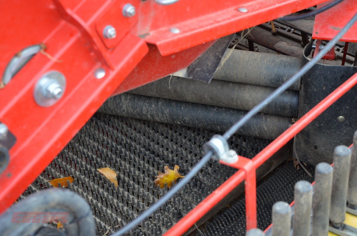 Kartoffelroder typu Grimme SE 260 UB, Gebrauchtmaschine v Suhlendorf (Obrázek 14)