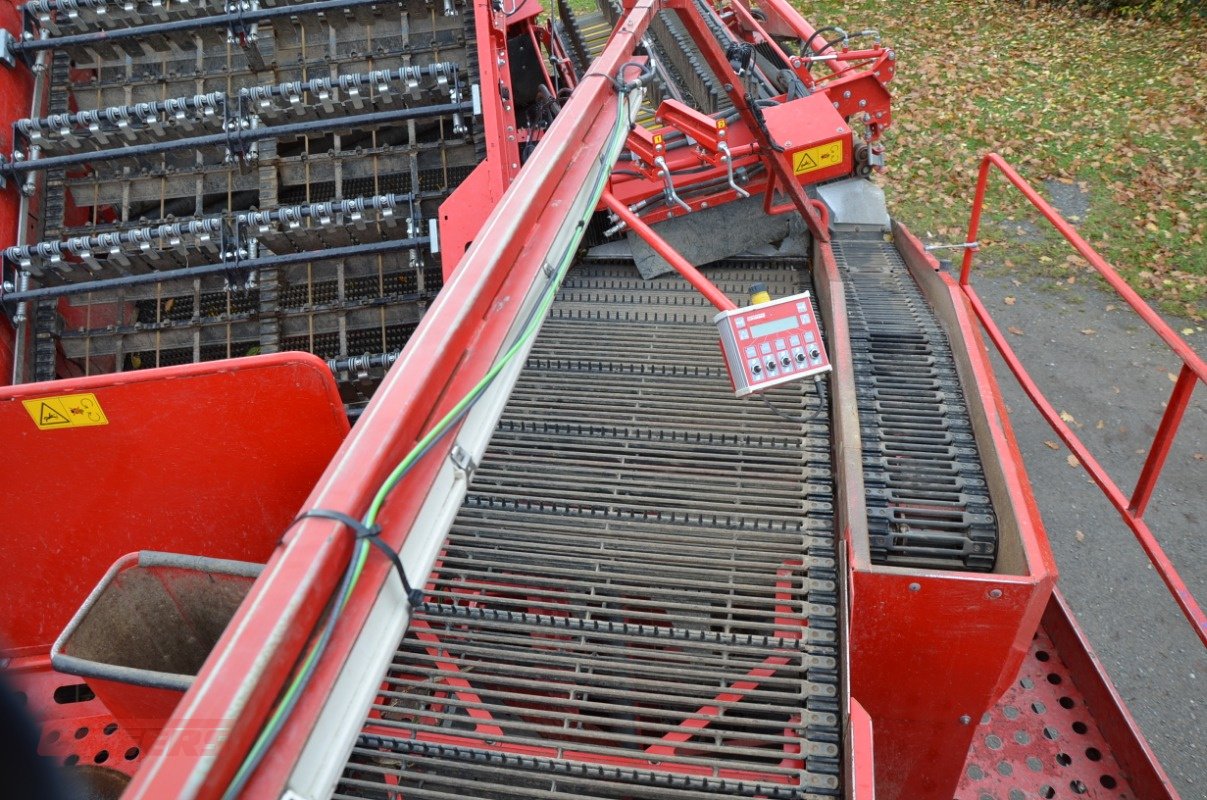 Kartoffelroder typu Grimme SE 260 UB, Gebrauchtmaschine v Suhlendorf (Obrázek 17)