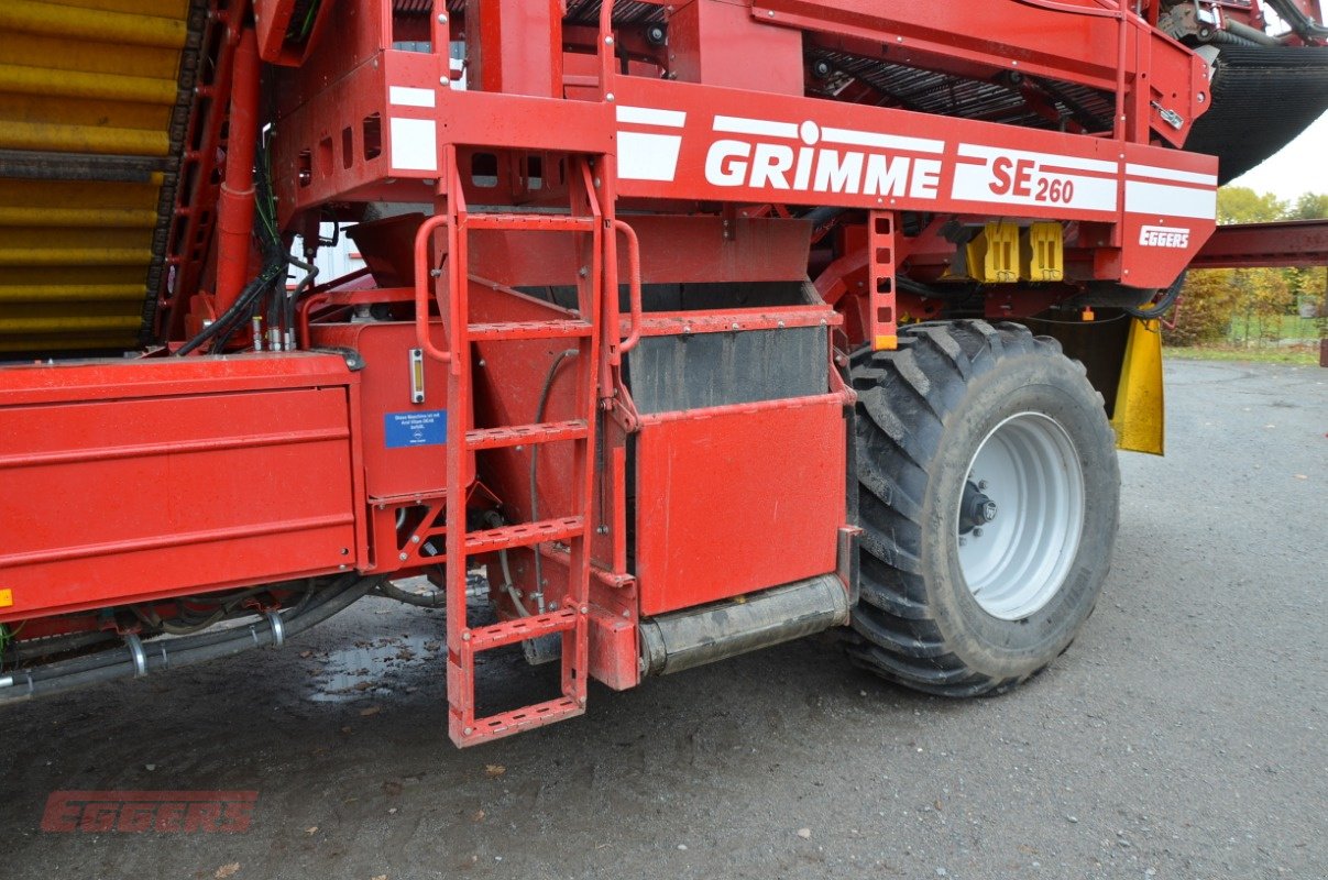 Kartoffelroder typu Grimme SE 260 UB, Gebrauchtmaschine v Suhlendorf (Obrázek 21)