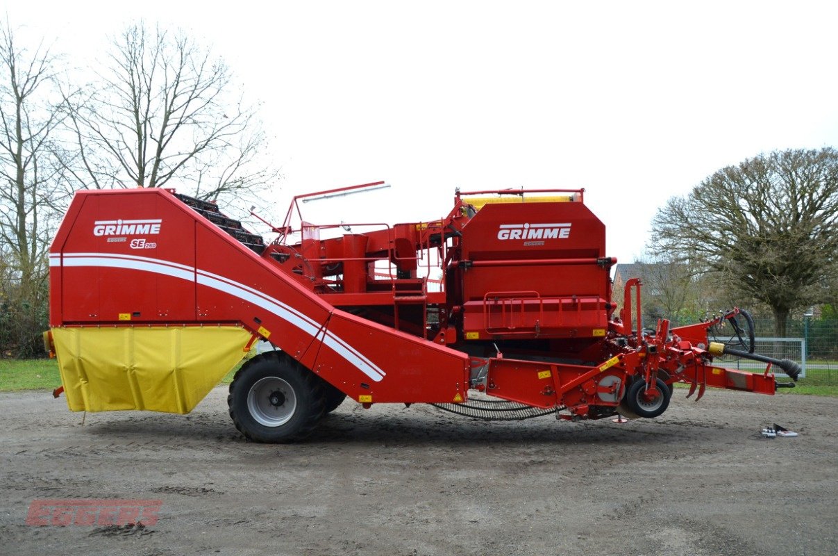 Kartoffelroder typu Grimme SE 260 UB, Gebrauchtmaschine v Suhlendorf (Obrázek 3)