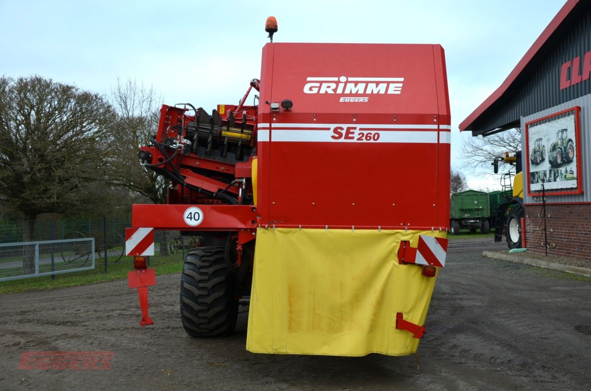 Kartoffelroder typu Grimme SE 260 UB, Gebrauchtmaschine v Suhlendorf (Obrázek 4)