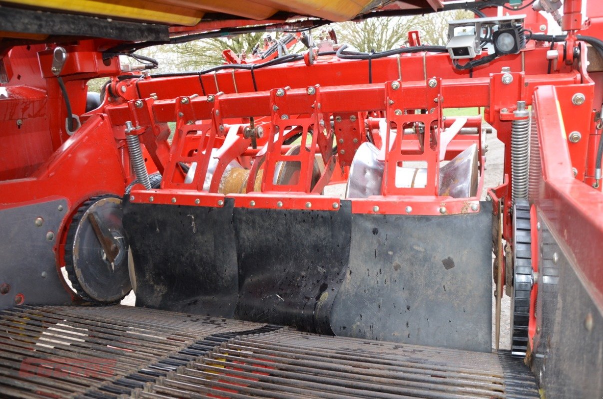 Kartoffelroder typu Grimme SE 260 UB, Gebrauchtmaschine v Suhlendorf (Obrázek 8)