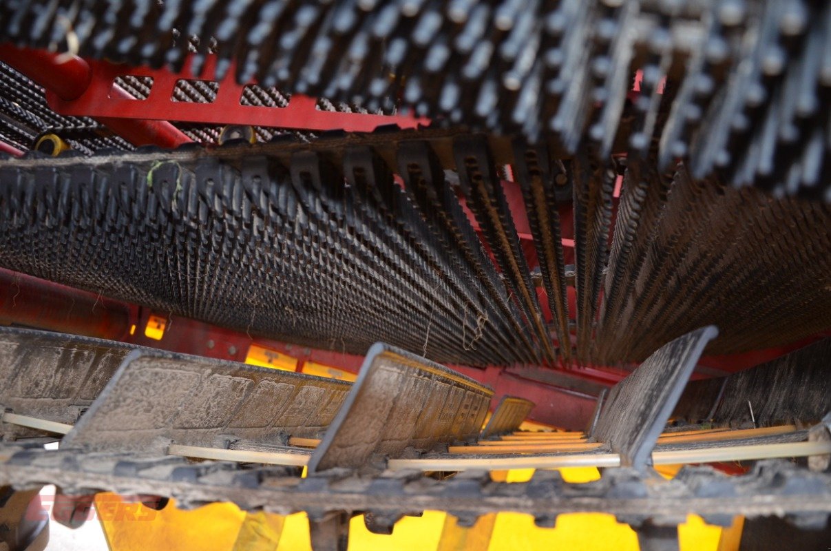 Kartoffelroder typu Grimme SE 260 UB, Gebrauchtmaschine v Suhlendorf (Obrázek 12)