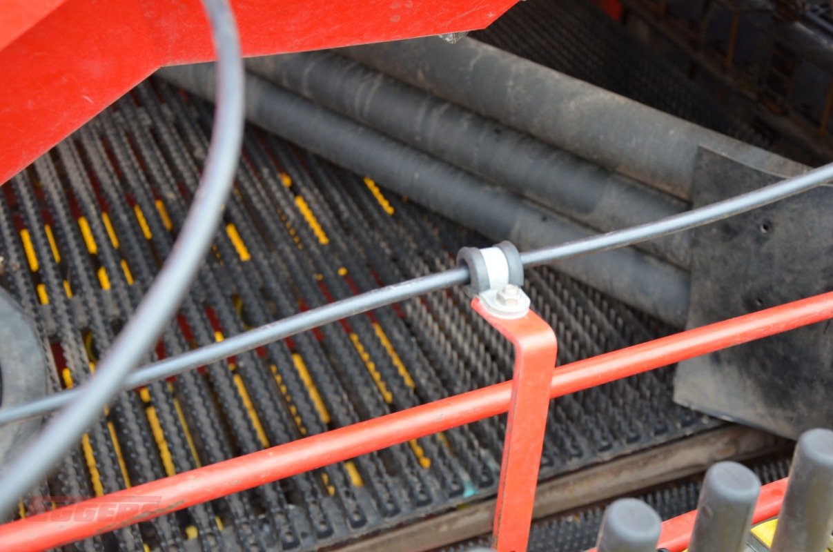 Kartoffelroder typu Grimme SE 260 UB, Gebrauchtmaschine v Suhlendorf (Obrázek 15)