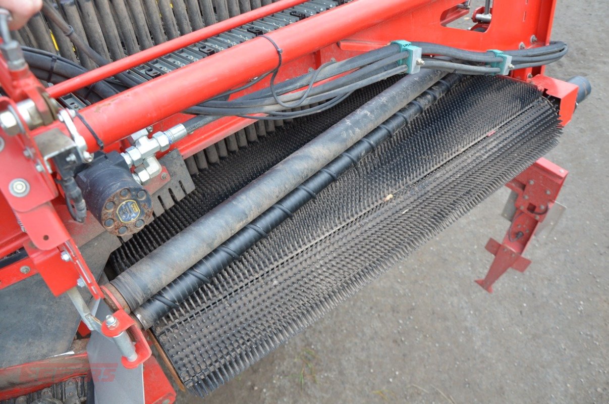 Kartoffelroder typu Grimme SE 260 UB, Gebrauchtmaschine v Suhlendorf (Obrázek 16)