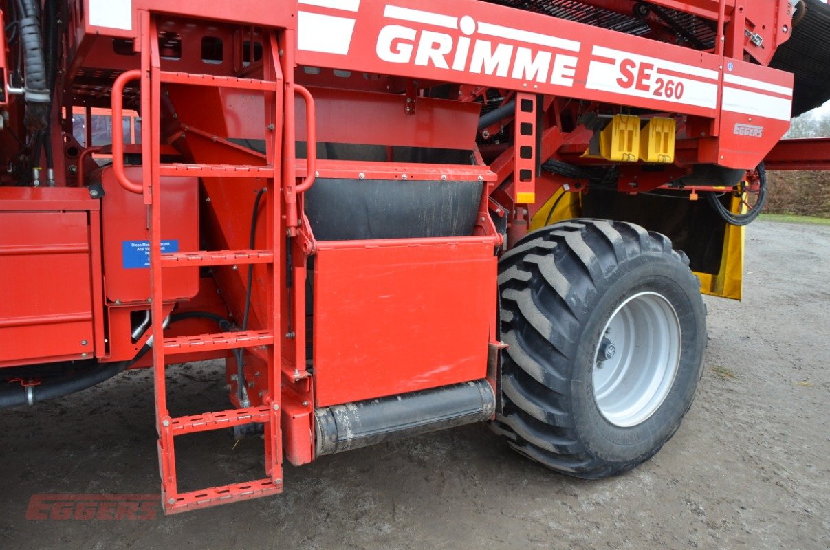 Kartoffelroder typu Grimme SE 260 UB, Gebrauchtmaschine v Suhlendorf (Obrázek 22)