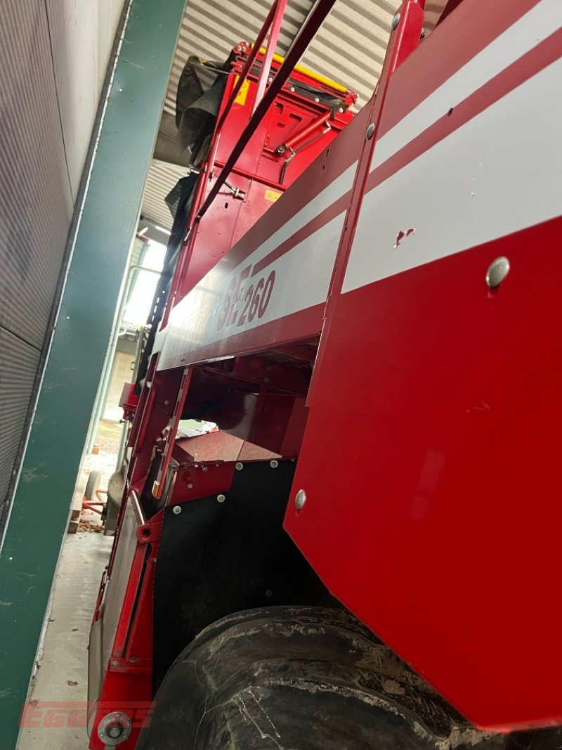 Kartoffelroder Türe ait Grimme SE 260 UB, Gebrauchtmaschine içinde Suhlendorf (resim 8)