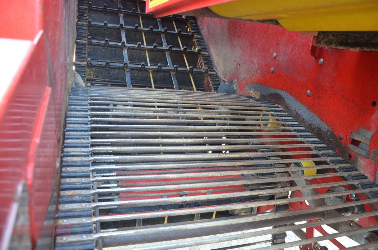 Kartoffelroder typu Grimme SE 75-55 SB, Gebrauchtmaschine v Suhlendorf (Obrázek 8)