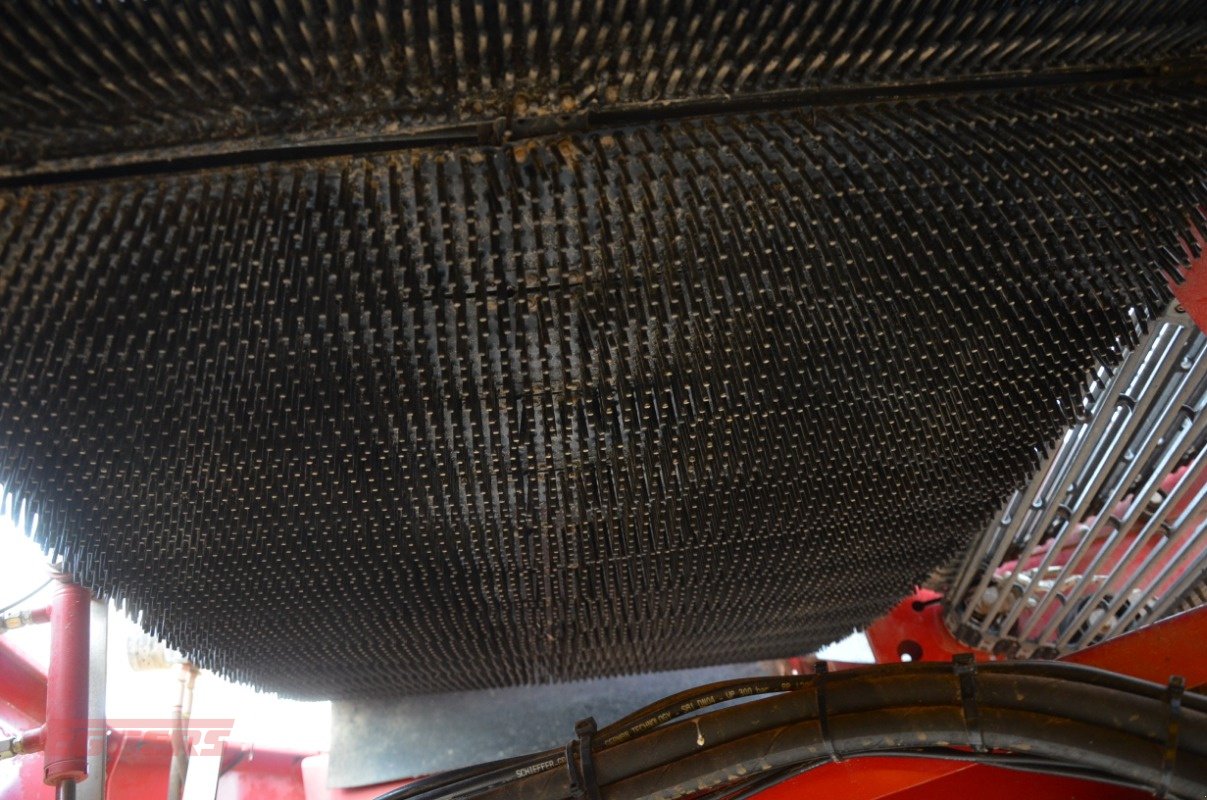 Kartoffelroder typu Grimme SE 75-55 SB, Gebrauchtmaschine v Suhlendorf (Obrázek 10)