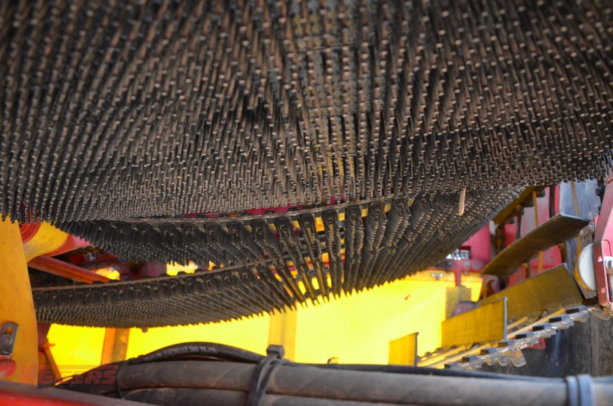 Kartoffelroder typu Grimme SE 75-55 SB, Gebrauchtmaschine v Suhlendorf (Obrázek 11)