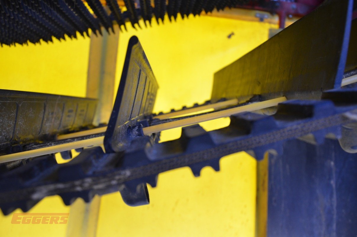 Kartoffelroder typu Grimme SE 75-55 SB, Gebrauchtmaschine v Suhlendorf (Obrázek 12)