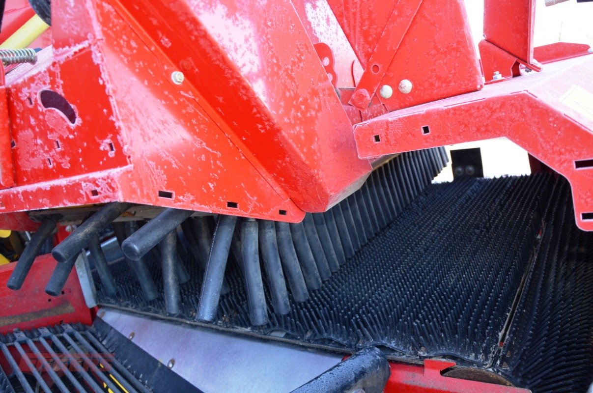 Kartoffelroder typu Grimme SE 75-55 SB, Gebrauchtmaschine v Suhlendorf (Obrázek 15)