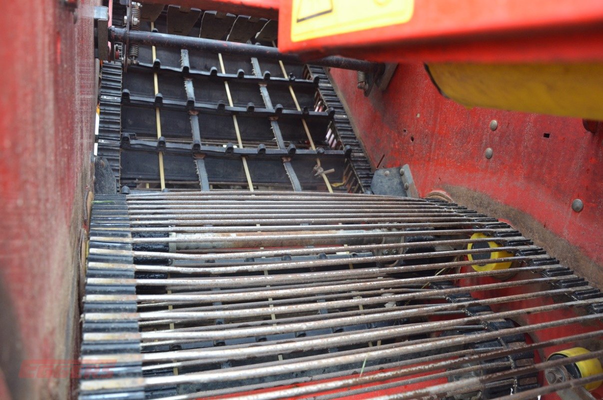 Kartoffelroder typu Grimme SE 75-55 SB, Gebrauchtmaschine v Suhlendorf (Obrázek 8)