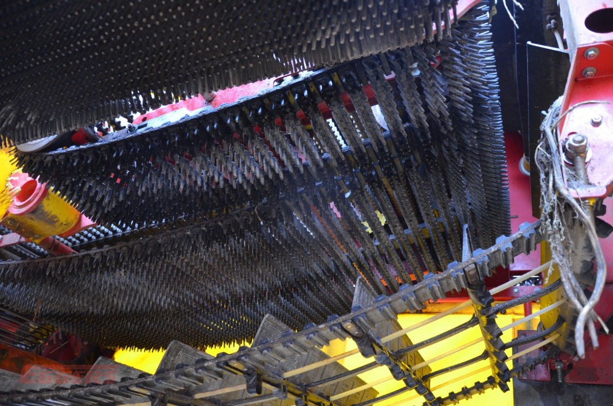 Kartoffelroder typu Grimme SE 75-55 SB, Gebrauchtmaschine v Suhlendorf (Obrázek 10)