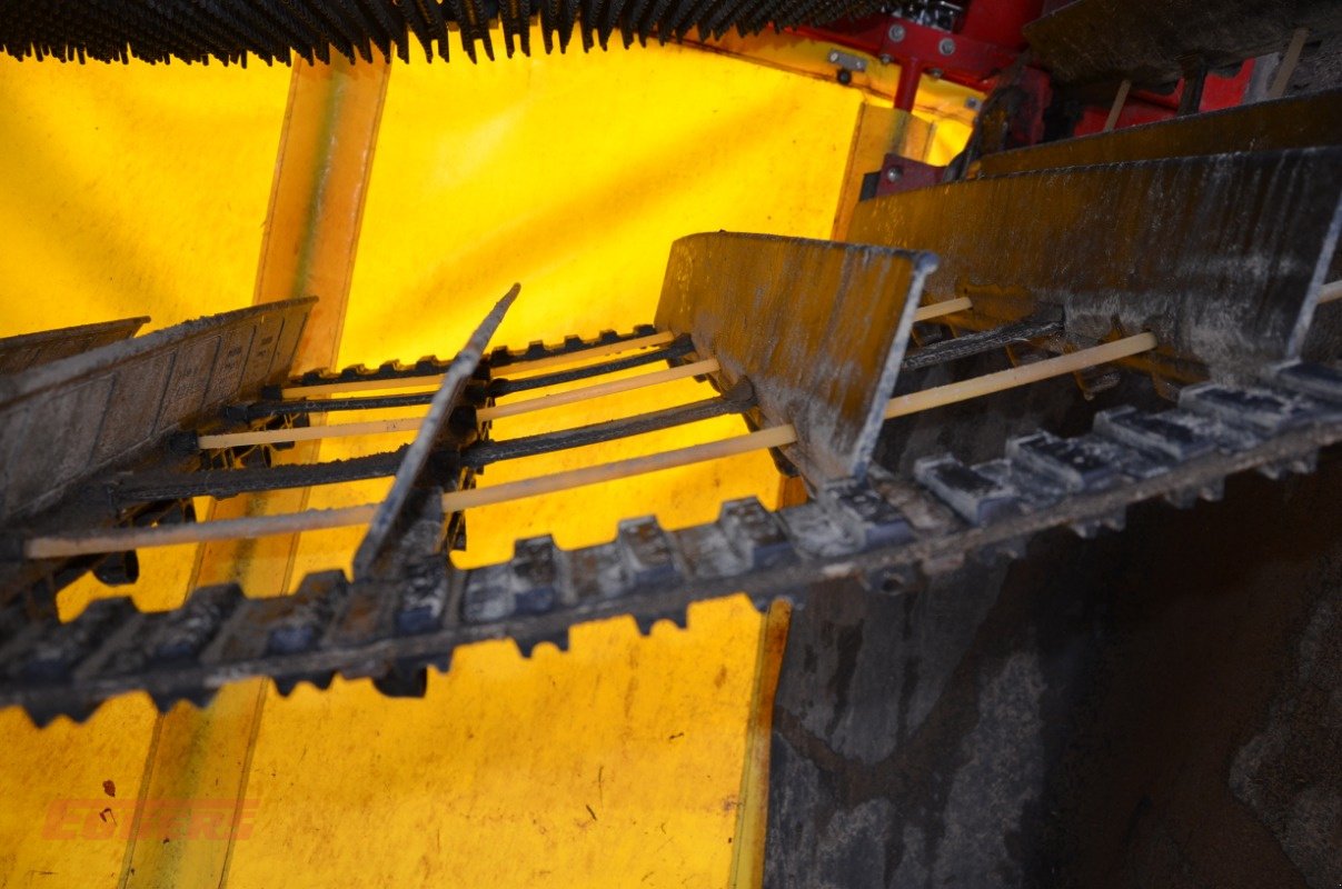 Kartoffelroder typu Grimme SE 75-55 SB, Gebrauchtmaschine v Suhlendorf (Obrázek 11)