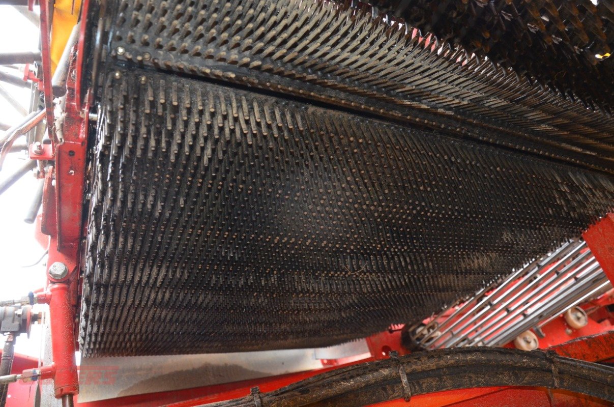 Kartoffelroder typu Grimme SE 75-55 SB, Gebrauchtmaschine v Suhlendorf (Obrázek 12)