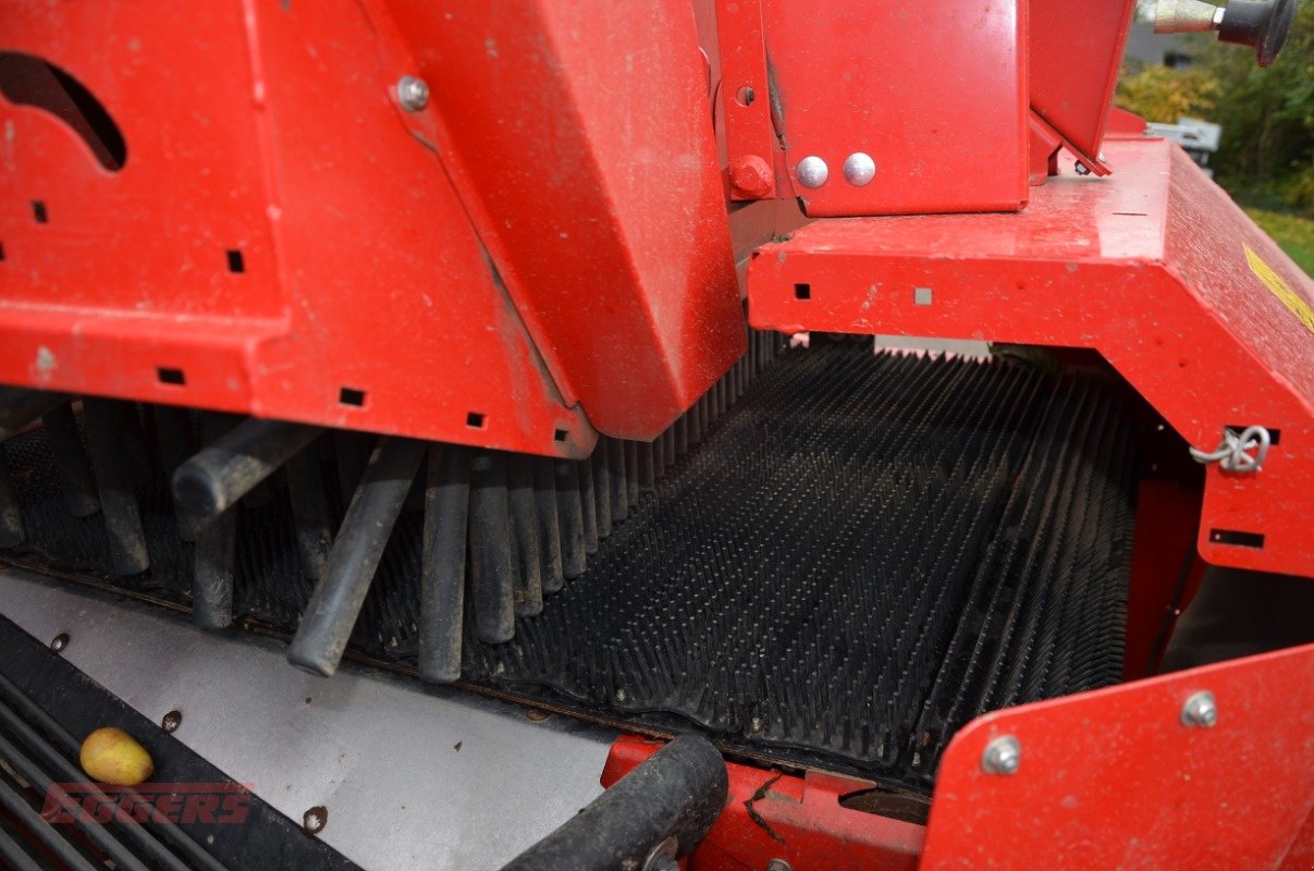 Kartoffelroder typu Grimme SE 75-55 SB, Gebrauchtmaschine v Suhlendorf (Obrázek 17)