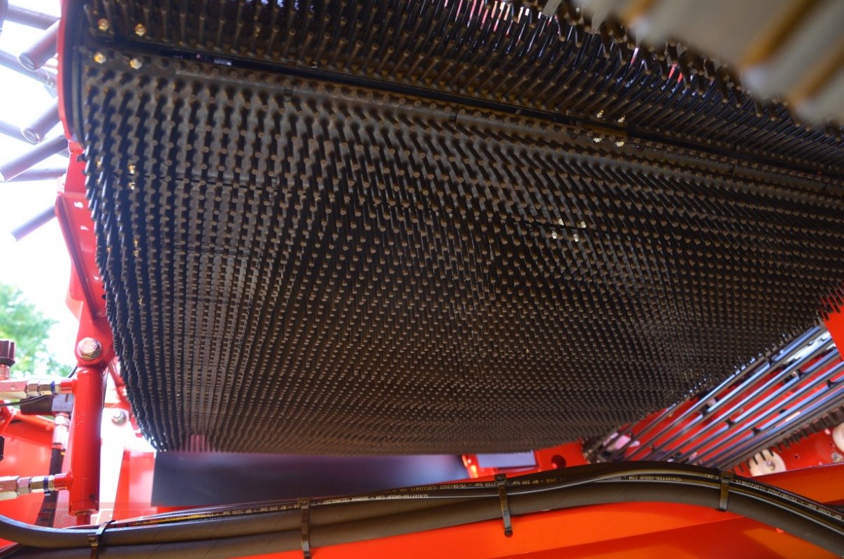 Kartoffelroder typu Grimme SE 75-55 SB, Gebrauchtmaschine v Suhlendorf (Obrázek 11)