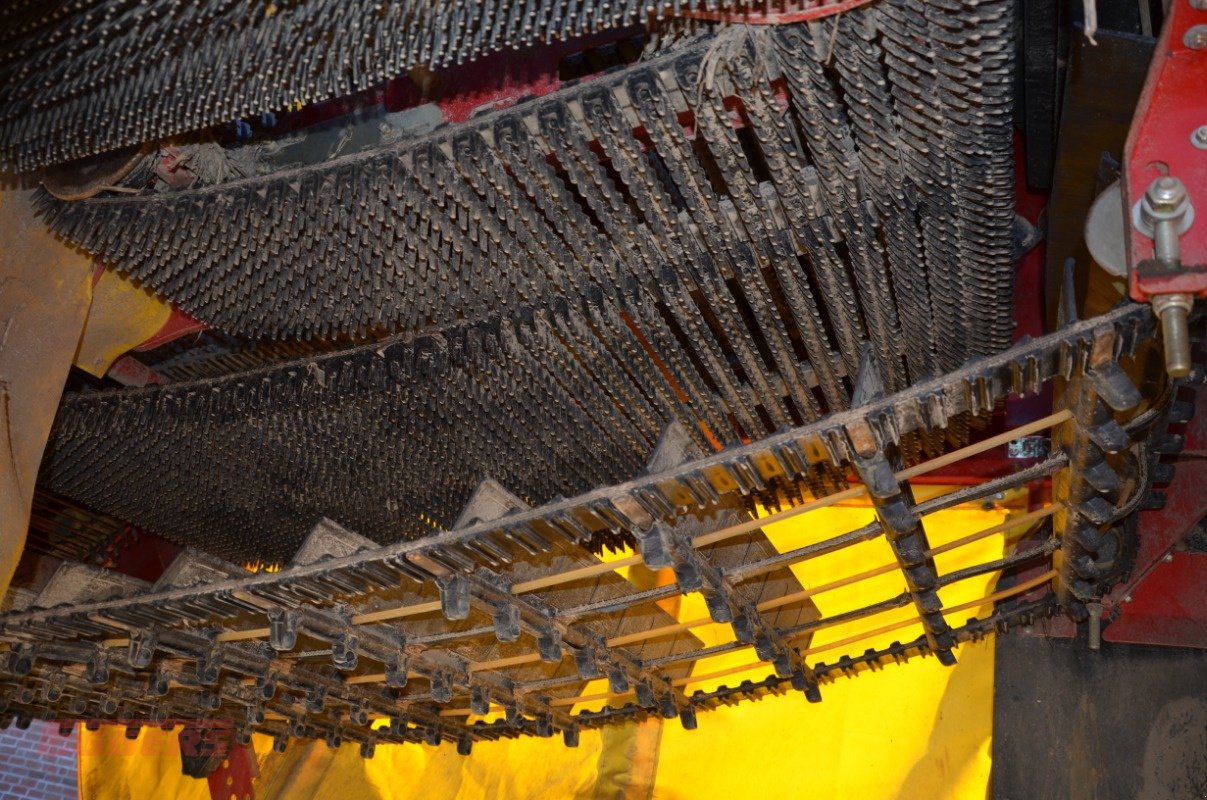 Kartoffelroder typu Grimme SE 85-55 SB, Gebrauchtmaschine v Suhlendorf (Obrázek 10)