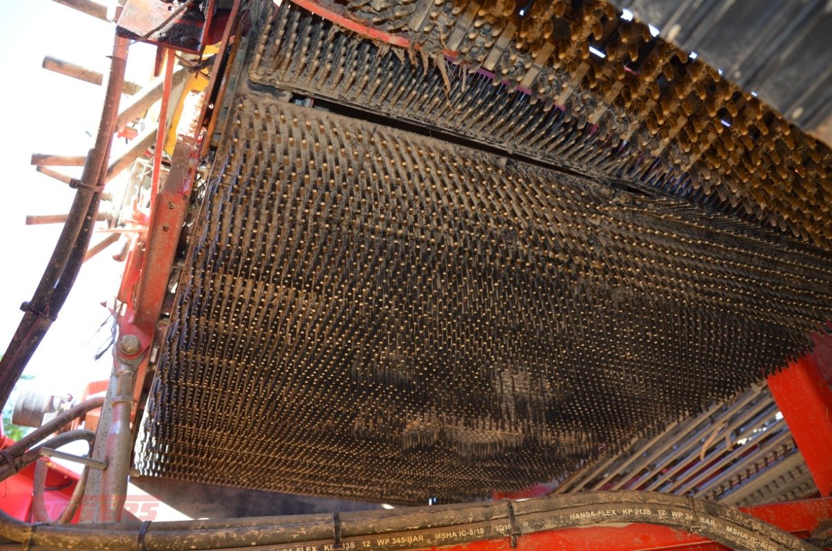 Kartoffelroder typu Grimme SE 85-55 SB, Gebrauchtmaschine v Suhlendorf (Obrázek 11)