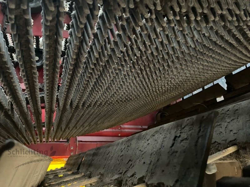 Kartoffelroder tip Grimme SE260 Terra, Gebrauchtmaschine in Marxen (Poză 12)