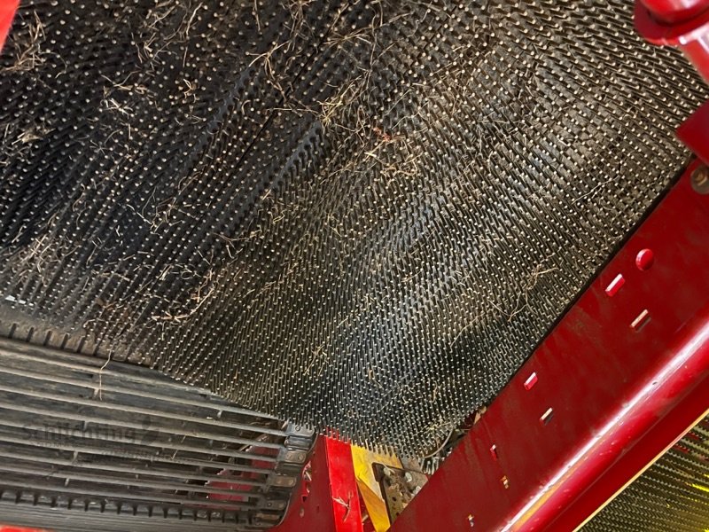 Kartoffelroder typu Grimme SE85-55, Gebrauchtmaschine v Marxen (Obrázek 15)