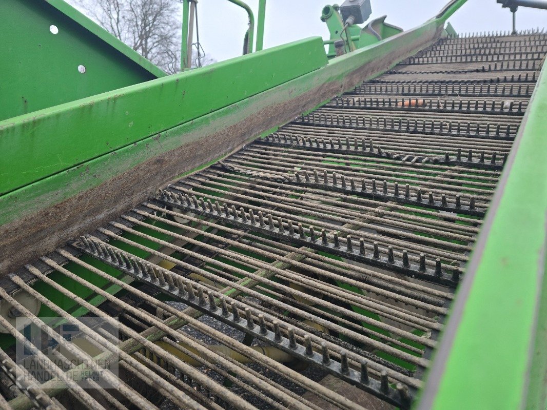 Kartoffelroder of the type Niewöhner 1733 R, Gebrauchtmaschine in Burg/Spreewald (Picture 11)