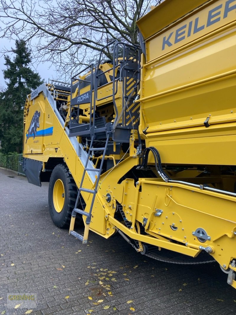 Kartoffelroder от тип ROPA Keiler 2 L RK22 *Überladebunker*, Gebrauchtmaschine в Kevelaer (Снимка 11)